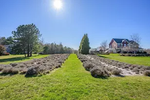 171 Pine Hill Rd, Westport, MA 02790 - Photo 26