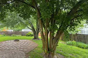 534 Hogg Memorial Dr, Whitman, MA 02382 - Photo 24