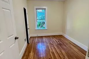 22 Anita Terrace, Boston, MA 02119 - Photo 4