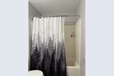 25 Ridlon Rd, Boston, MA 02136 - Photo 20