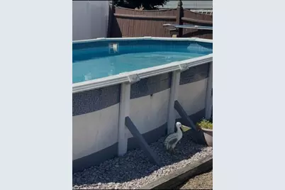 238 Squire Rd, Revere, MA 02151 - Photo 32