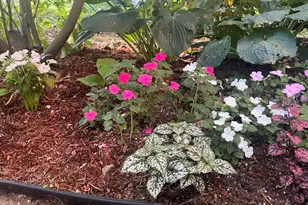 34 Erics Way, Wellfleet, MA 02667 - Photo 20