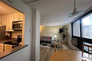 45 Trowbridge, Cambridge, MA 02138 - Photo 24