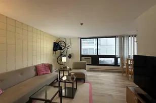 45 Trowbridge, Cambridge, MA 02138 - Photo 14