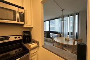 45 Trowbridge, Cambridge, MA 02138 - Photo 30