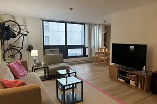 45 Trowbridge, Cambridge, MA 02138 - Photo 2