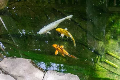 249 County Street #2, Attleboro, MA 02703 - Photo 6