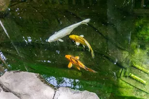 249 County St, Attleboro, MA 02703 - Photo 6