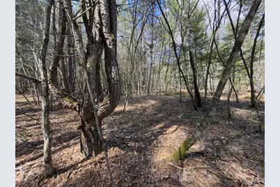 151 Ashfield Road, Williamsburg, MA 01096 - Photo 8