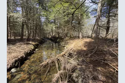 151 Ashfield Road, Williamsburg, MA 01096 - Photo 10