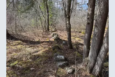 151 Ashfield Road, Williamsburg, MA 01096 - Photo 2