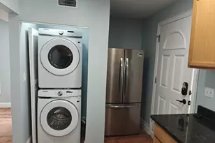 102 Mt Pleasant Ave, Boston, MA 02119 - Photo 8