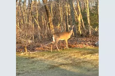43 Locust Street, Bellingham, MA 02019 - Photo 24