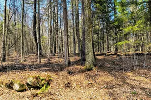 Lot 16 Porcupine Courts, Becket, MA 01223 - Photo 1