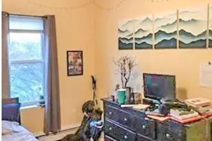 260 Aspinwall Ave, Brookline, MA 02446 - Photo 8