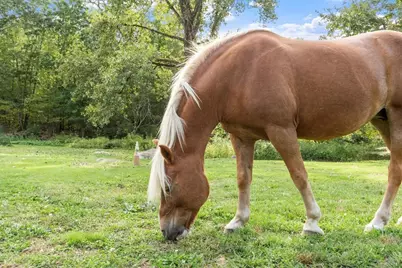 225 Lowell St, Carlisle, MA 01741 - Photo 28