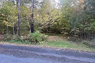 0 Stryker Rd, Florida, MA 01247 - Photo 1