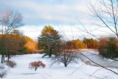 53 Cortland #53, Boxborough, MA 01719 - Photo 30