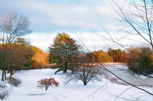 53 Cortland, Boxborough, MA 01719 - Photo 30