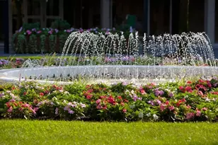 44 Washington St, Brookline, MA 02445 - Photo 28