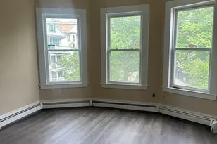 19 Dewey St, Boston, MA 02125 - Photo 8