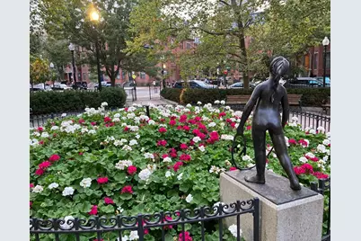 75 Montgomery St #3, Boston, MA 02116 - Photo 14