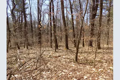 0 Summit Hill Rd. Lot 3, Washington, MA 01223 - Photo 6