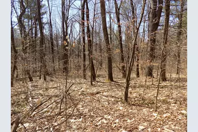 0 Summit Hill Rd. Lot 3, Washington, MA 01223 - Photo 6