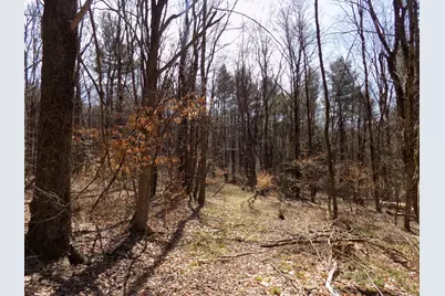 0 Summit Hill Rd. Lot 3, Washington, MA 01223 - Photo 14