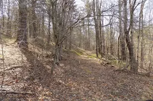 0 Summit Hill Rd Lot 3, Washington, MA 01223 - Photo 1