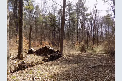 0 Summit Hill Rd. Lot 3, Washington, MA 01223 - Photo 10