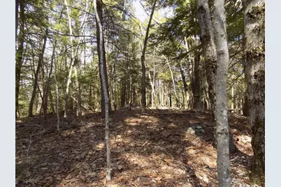 0 Summit Hill Rd. Lot 3, Washington, MA 01223 - Photo 4
