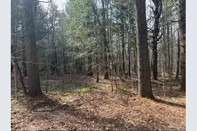 0 Island Acres Rd, Blandford, MA 01008 - Photo 1