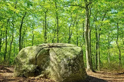 0/15 North Road/Belhaven Way, Chilmark, MA 02535 - Photo 2