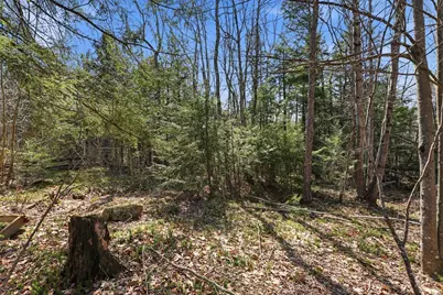 0 Algerie Rd, Otis, MA 01253 - Photo 6