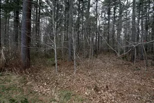 1307 Blueberry Cir, Middleborough, MA 02346 - Photo 30