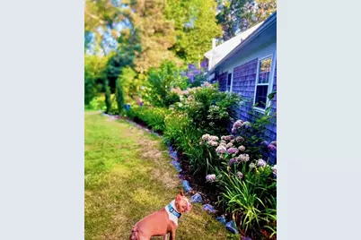 25 Frances Helen Rd, Yarmouth, MA 02675 - Photo 36