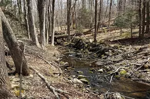 1511 Dunhamtown Brimfield Rd, Brimfield, MA 01010 - Photo 36