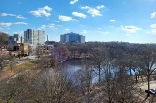 33 Pond Ave, Brookline, MA 02445 - Photo 14