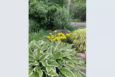 49 Great Hill Dr, Barnstable, MA 02668 - Photo 16