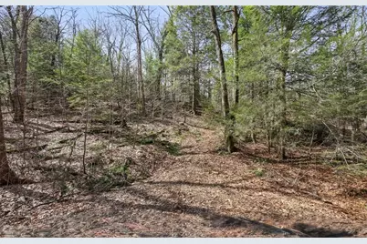 8 Hemlock Rd, Tyringham, MA 01264 - Photo 2