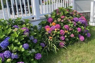 48 Valley Beach Ave, Hull, MA 02045 - Photo 18