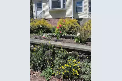 61 Wollaston Ave #2, Arlington, MA 02476 - Photo 24