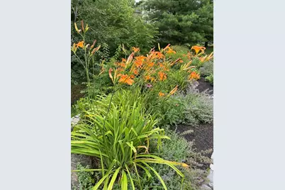 18 Manchester Dr, Wrentham, MA 02093 - Photo 36