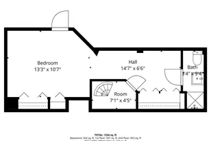 113 W Dedham St, Boston, MA 02118 - Photo 20