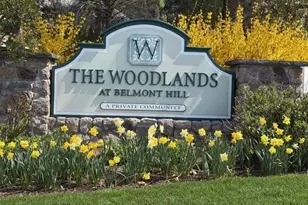 56 Summit Rd, Belmont, MA 02478 - Photo 2