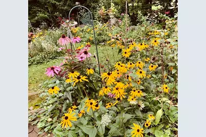 32 Woodchuck Hollow, Tolland, MA 01034 - Photo 4