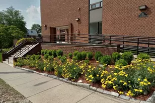12 Mt Vernon St, Melrose, MA 02176 - Photo 24