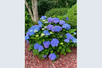 104 Mason, Palmer, MA 01069 - Photo 34