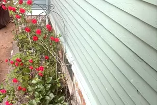 34 Gaston St, Boston, MA 02121 - Photo 20